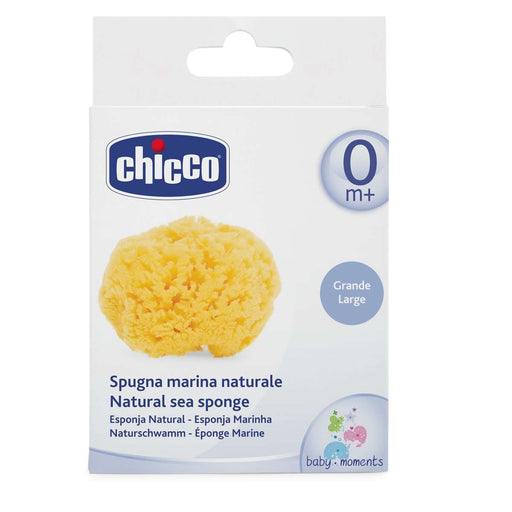 immagine-1-chicco-spugna-marina-naturale-grande-ean-8058664103225