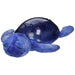 immagine-1-proiettore-cloud-b-tranquil-turtle-ocean-outlet