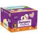 immagine-1-quadripack-pannolini-pampers-progressi-junior-16-kg-misura-6-84-pz-ean-8001480301900