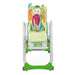 immagine-6-chicco-polly-2-start-seggiolone-con-4-route-compatto-reclinabile-0-mesi-parrot